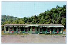 c1950's Paul & Kay's Motel Onteora Trail Kingston New York NY Vintage Postcard picture