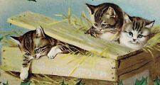 c.1910 Kittys Playing in Box Merry Christmas Postcard Silver Embossed #73 picture