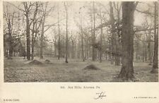 Ant Hills, Altoona, Pennsylvania PA - 1906 Vintage Postcard picture