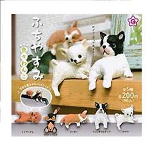 capsule toys Fuchiyasumi color various dogs [5 types set (full comp)] form JP picture