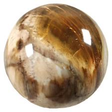 Madagascar Natural Petrified Wood Fossil Jasper Polished Sphere  1.9