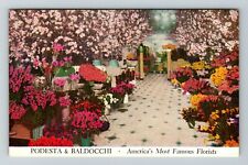 San Francisco CA-California Podesta & Baldocchi Florists  Vintage Postcard picture