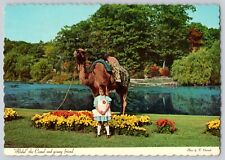 Postcard New York Tuxedo Sterling Forest 