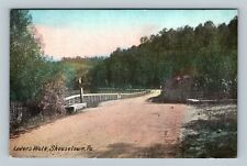 Shousetown PA, Lover's Walk, Pennsylvania c1910 Vintage Postcard picture