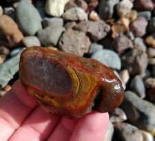 LAKE SUPERIOR AGATE 2.6oz  KETCHUP & MUSTARD COLOR BANDING DISPLAY AGATE picture