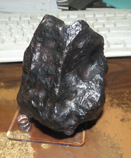 LARGE 1418 GM  CAMPO DEL CIELO METEORITE  AAA   MUSEUM GRADE 3.1 LBS. picture