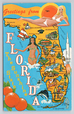 Postcard Greetings From Florida The Sunshine State picture