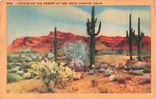 Cantil CA California, Desert Cactus at Red Rock Canyon, Vintage Postcard picture
