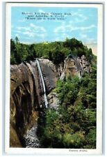 c1930's Hickory Nut Falls Chimney Rock Near Asheville NC Waterfalls Postcard picture