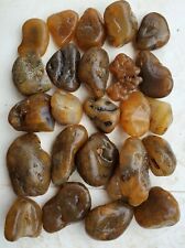25 Lbs  Montana Yellowstone River Agate Stones For Flint Knapping Arrowheads 3 picture
