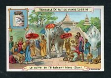 c1899 Siam The Cult of the White Elephant Liebig Large Trading Card Thailand picture