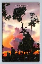 Postcard FL Florida Silhouette Tall Pines Unused Linen picture