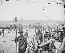 Union 1st New York Light Artillery Pettit's Battery B VA 8x10 US Civil War Photo picture