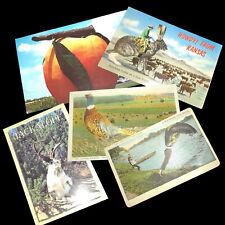 Assorted Exaggerated Postcards picture