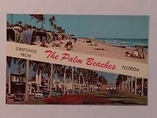 Greetings From Palm Beach Florida Postcard  picture