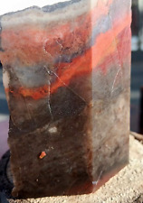 Volcanic Petrified Wood Limb Cast Cube Cut To Display Vivid Colors + Patterns  picture