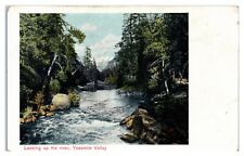 Postcard - Looking Up the River in Yosemite Valley California CA picture