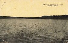 City Lake Coleman Texas TX 40 Acres c1910 Postcard picture