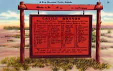 CATTLE BRANDS, MANY A 