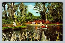 Cypress Gardens FL-Florida, Cypress Knees, Vintage Postcard picture