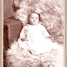 c1880s Myerstown, PA Cute Baby Boy on Fur Cabinet Card Photo Harry Saylor B16 picture