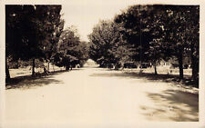 RPPC Fallon Nevada c1930s Dirt Road Tree Lined Houses Car Bear Photo Co. #2264 picture