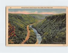 Postcard Pennsylvania 's Grand Canyon from Colton Point State Park Pennsylvania picture