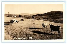 Cow Farm Pasture Shrewsbury VT Vermont Postcard (AV13) picture