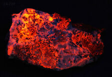 Florescent Campbellite Rough Bisbee, AZ Ultra Grade Nice 358ct. Depleted Source picture