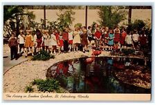 c1960s The Aviary In Sunken Gardens Children St. Petersburg Florida FL Postcard picture