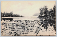 Postcard Lake Washington Seattle Washington Unposted picture
