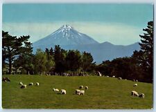 New Zealand Postcard Mt. Egmont Pasture Lands Taranaki Dear Dr. Abbot Pentothal picture
