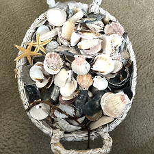 MIXED authentic sea shells-2 LBS,GENUINE OCEAN  SEA SHELLS crafts, decor, art picture