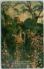 Postcard - Rustic Corner In Sunken Garden - Pasadena, California picture