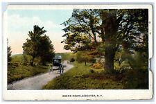 c1920's Scene Near Leicester New York NY Horse Carriage Tree Road Postcard picture