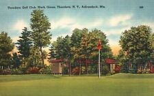 Vintage Postcard Thendara Golf Club Ninth Green Adirondack Mountain New York NY picture
