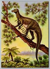 1980s Prehistoric Hypsilophodon Jurassic Dinosaur Dino Continental Postcard M-13 picture