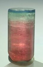 Top Quality Blue Cap Watermelon Terminated Tourmaline Crystal From Afghanistan picture