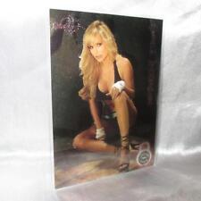 Camille Anderson Bench Warmer 2005 Locker Room Insert Card 12 picture