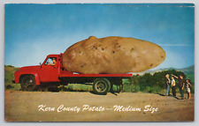 Kern County Potato Medium Size CA Vintage Comic Exaggeration Postcard - Unposted picture