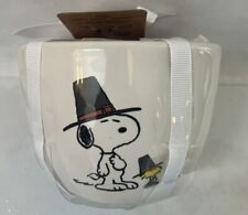 Rae Dunn Peanuts Snoopy Thanksgiving Measuring Cups New 2023 picture