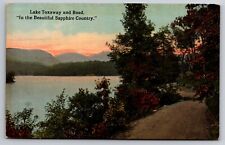 Lake Toxaway and Road Beautiful Sapphire Country North Carolina c1910 Postcard picture