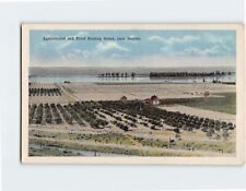 Postcard Agricultural and Fruit Raising Scene, Washington picture