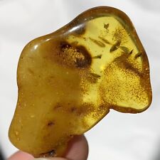 Polished Amber From The Baltic Sea In POLAND 5.75g picture