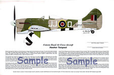 Tempest R.A.F. fighter, Poster, Aviation Artist, Ernie Boyette picture