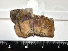 Unusual Sagenite Agate Slab, 34 grams, Lapidary/Cabbing picture