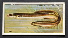 1935 John Players Cigarette Card Fresh-Water Fishes No. 17 Eel (Silver) picture