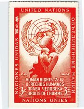 Postcard Human Rights Day United Nations New York City New York USA picture