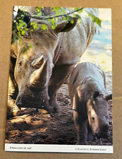 1993 USED POSTCARD - RHINOCEROS AND CALF picture