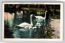Winona Lake IN-Indiana, Happy Family, Swans, Antique, Vintage Souvenir Postcard picture